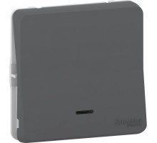 Schneider Electric Mureva Styl Антрацит Выключатель кнопочный с подсветкой, IP55