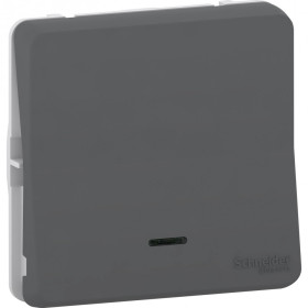 Schneider Electric Mureva Styl Антрацит Выключатель кнопочный с подсветкой, IP55