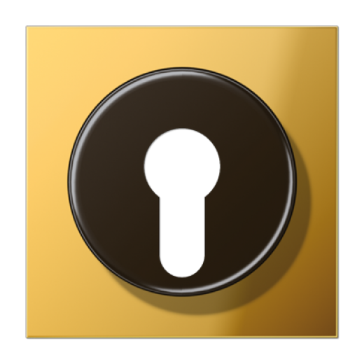 Крышка к выключателю для замочного механизма, металл цвета золота