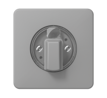 JUNG Накладка поворотного механизма серая