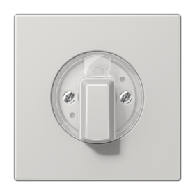 JUNG LS Светло-серая Накладка поворотного механизма