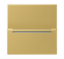 JUNG Накладка на ESU230-2, латунь Classic