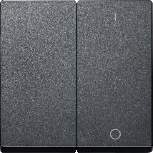 MERTEN КЛАВИША двойная с пиктограммами 