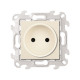 Розетка 2К с защитными шторками, сл.кость