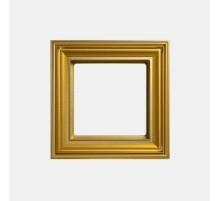 JUNG EcoProfi DECO Золото Рамка 1-ая