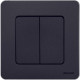Выключатель двухклавишный - Legrand/Daccord Inspiria - 10АХ 250В безвинтовые зажимы - антрацит