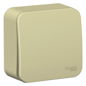 Systeme Electric Blanca наруж Беж Выключатель 1-клавишный (cх.1) изолир. пластина 10А, 250B