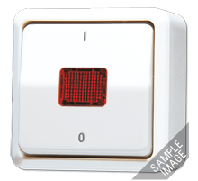 JUNG Выключатель контрольный 10 AX 250 V ~ для накладного монтажа, слоновая кость