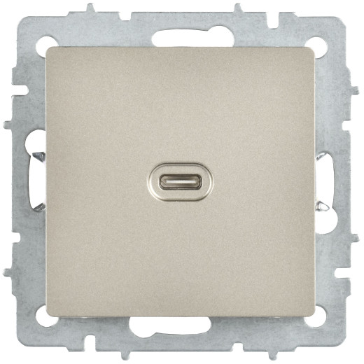 BRITE Роз. USB C 65Вт высокоскор. зар. РЮ12-1-БрШ шамп. IEK