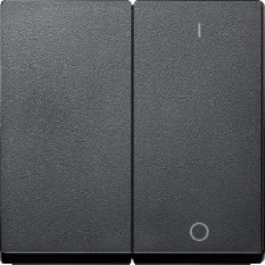 MERTEN КЛАВИША двойная с пиктограммами 