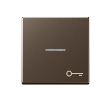 JUNG Клавиша для контрольного выключателя со знаком ключ мокка