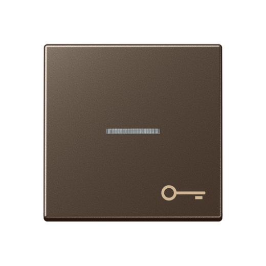 Клавиша для контрольного выключателя со знаком ключ, мокка