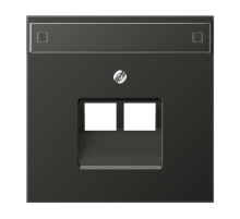 JUNG LS 990 Антрацит Накладка 2-ой наклонной ТЛФ/комп розетки с полем для надписи