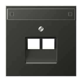 JUNG LS 990 Антрацит Накладка 2-ой наклонной ТЛФ/комп розетки с полем для надписи