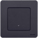 Переключатель одноклавишный с подсветкой/индикацией - Legrand/Daccord Inspiria - 10АХ 250В безвинтовые зажимы - антрацит