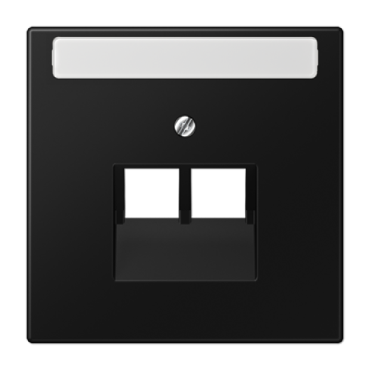 Плата (фиксация винтом) для двух модулей с полем для надписи, термопласт, черный матовый