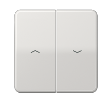 JUNG CD Светло-серая Клавиша 2-ая жалюзийная ударопрочная