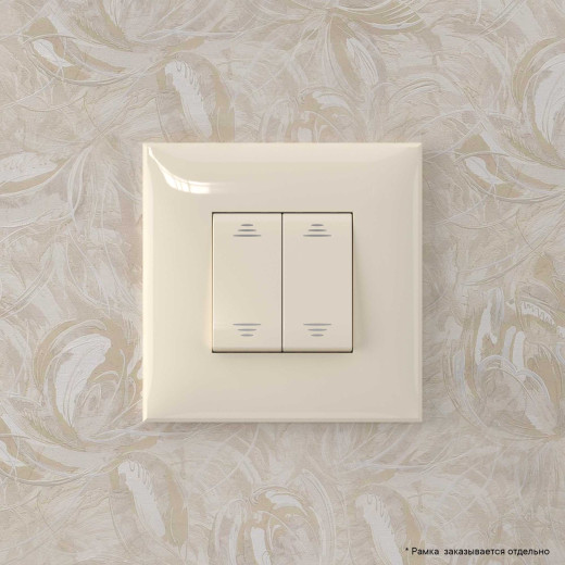 Инвертор двухклавишный в стену, Avanti, ванильная дымка