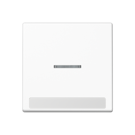 Клавиша с полем для надписи