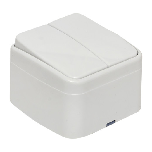 Минск Выключатель 2-клавишный ОП 10А белый EKF Basic