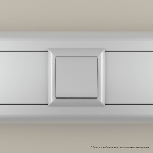 Выключатель одноклавишный модульный, Avanti, закаленная сталь, 2 модуля