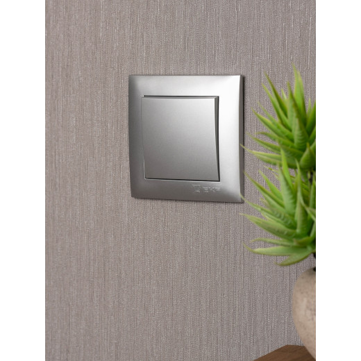 Валенсия лицевая панель выключателя 1-кл. 10А сталь EKF PROxima