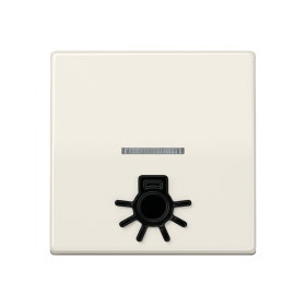 JUNG Клавиша с окошком для подсветки и символом 