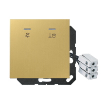 JUNG Накладка для внешнего DND-модуля с LED-лампами, 230 В, латунь Classic