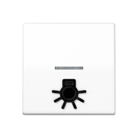 JUNG Клавиша с окошком для подсветки и символом 