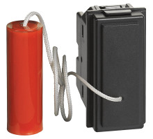 BT Living now Черный Механизм Переключатель со шнурком 1 мод.