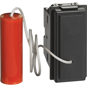 BT Living now Черный Механизм Переключатель со шнурком 1 мод.