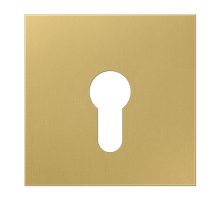 JUNG центральная плата для замка, латунь Classic