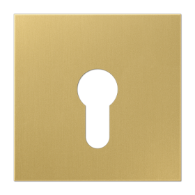 JUNG центральная плата для замка, латунь Classic