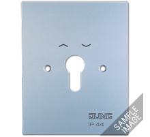 JUNG Металлическая крышка 125×100 мм без символов алюминий