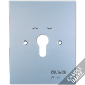 JUNG Металлическая крышка 125×100 мм без символов алюминий