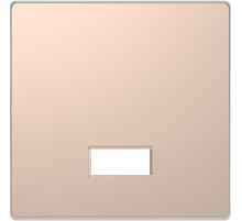 Schneider Electric Merten D-Life Шампань Клавиша с полем д/символа