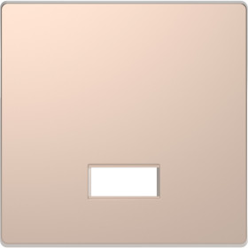 Schneider Electric Merten D-Life Шампань Клавиша с полем д/символа