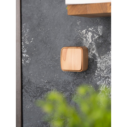 Выключатель 1-клавишный ОП Минск 10А светлое дерево EKF