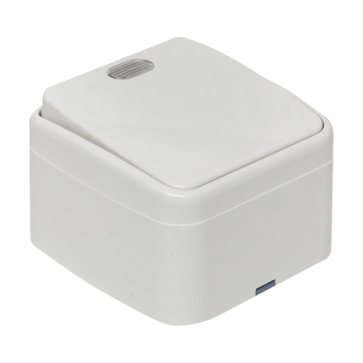 Минск Выключатель 1-клавишный ОП 10А с индикатором белый EKF Basic