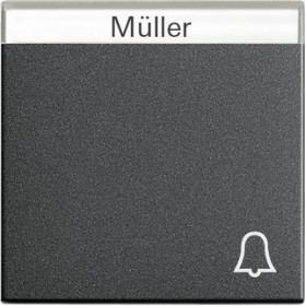 Gira S-55 Антрацит Клавиша с полем для надписи и символом звонок