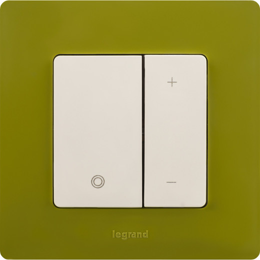 Рамка 1 пост - Legrand Etika - зелёный папоротник