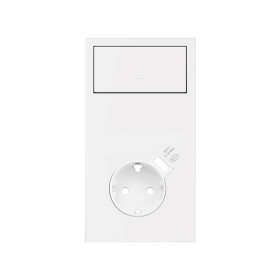 Simon 100 Белый матовый Кит 2 поста, фронт. Накладка вертикальная на 1 розетку Schuko с з/у USB SC + 1 клавиша выключателя