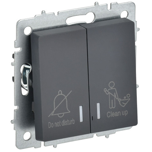 BRITE Выключ. 2-кл. с инд. отел. 10А ВС10-2-9-БрГ граф. IEK