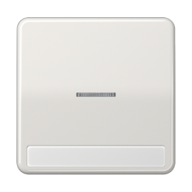 JUNG CD 500/CD plus Светло-серая Клавиша 1-ая с/п с полем для надписи