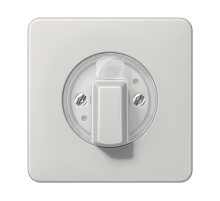 JUNG Накладка поворотного механизма светло-серая