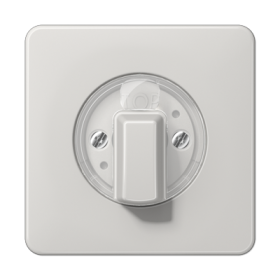 JUNG Накладка поворотного механизма светло-серая