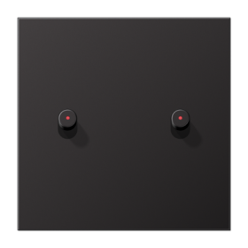 JUNG Центральная плата, 1 пост, 2 тумблера, цилиндр c окошком металл Dark серия LS