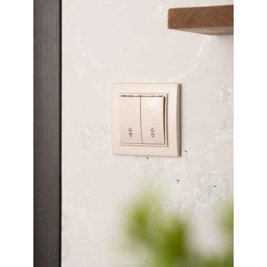 Выключатель 2-кл. СП проходной 10А бежевый Минск EKF