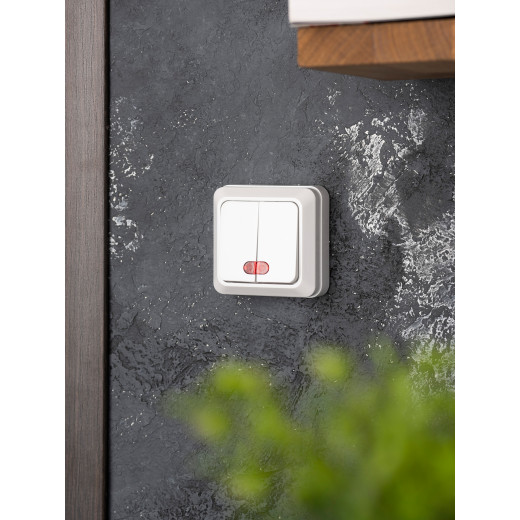 Рим Выключатель 2-клавишный с индикатором 10А белый EKF