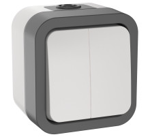 IEK TORS Выключатель двухклавишный 10А IP55 TS205 белый
